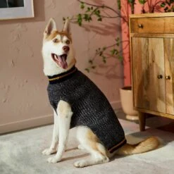 Frisco Heathered Knit Dog & Cat Sweater With 60% Recycled Content 13 Frisco Heathered Knit Dog & Cat Sweater With 60% Recycled Content -Frisco 268159 PT8. AC SS1800 V1629758773