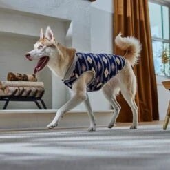 Frisco Lightweight Southwest Dog & Cat Polar Fleece Vest 13 Frisco Lightweight Southwest Dog & Cat Polar Fleece Vest -Frisco 268167 PT8. AC SS1800 V1629756292