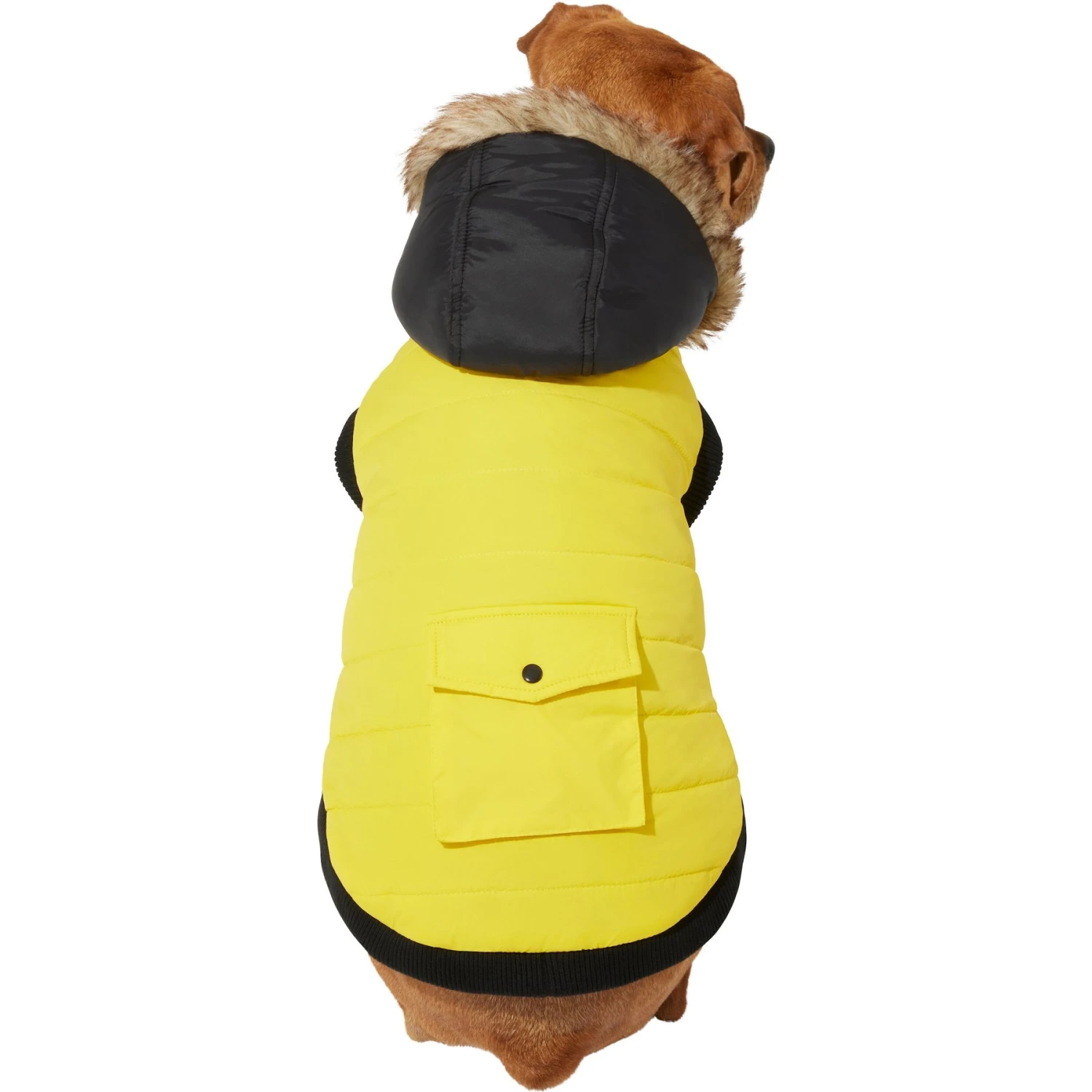 Frisco Heavyweight Anchorage Insulated Dog & Cat Parka, Yellow/Black 1 Frisco Heavyweight Anchorage Insulated Dog & Cat Parka, Yellow/Black