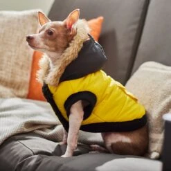 Frisco Heavyweight Anchorage Insulated Dog & Cat Parka, Yellow/Black 13 Frisco Heavyweight Anchorage Insulated Dog & Cat Parka, Yellow/Black -Frisco 268397 PT8. AC SS1800 V1629761431