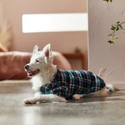 Frisco Multi-Plaid Dog & Cat Flannel Shirt 17 Frisco Multi-Plaid Dog & Cat Flannel Shirt -Frisco 268588 PT8. AC SS1800 V1629755804