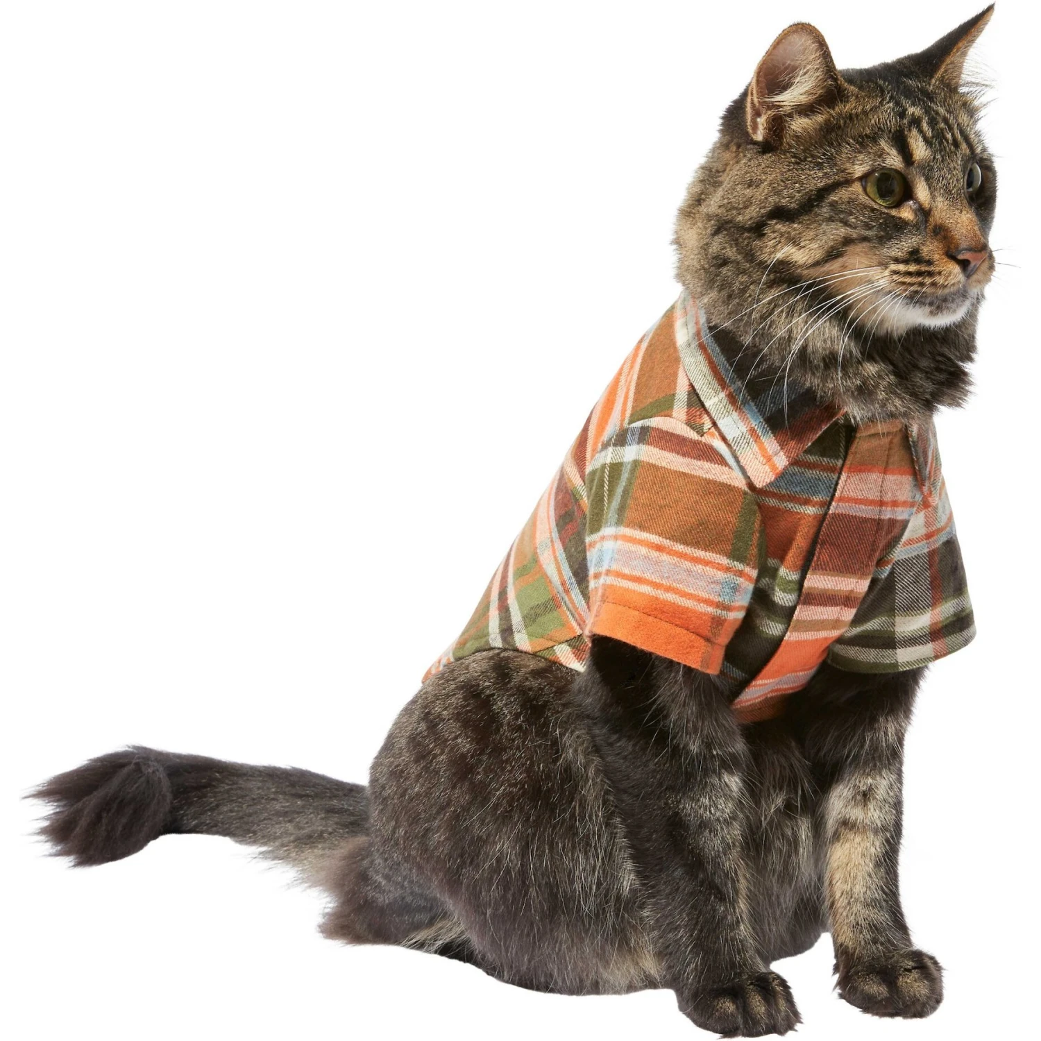 Frisco Orange & Olive Plaid Dog & Cat Flannel Shirt 4 Frisco Orange & Olive Plaid Dog & Cat Flannel Shirt - Image 4