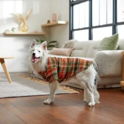 Frisco Orange & Olive Plaid Dog & Cat Flannel Shirt 16 Frisco Orange & Olive Plaid Dog & Cat Flannel Shirt -Frisco 268612 PT7. AC SS1800 V1637721727