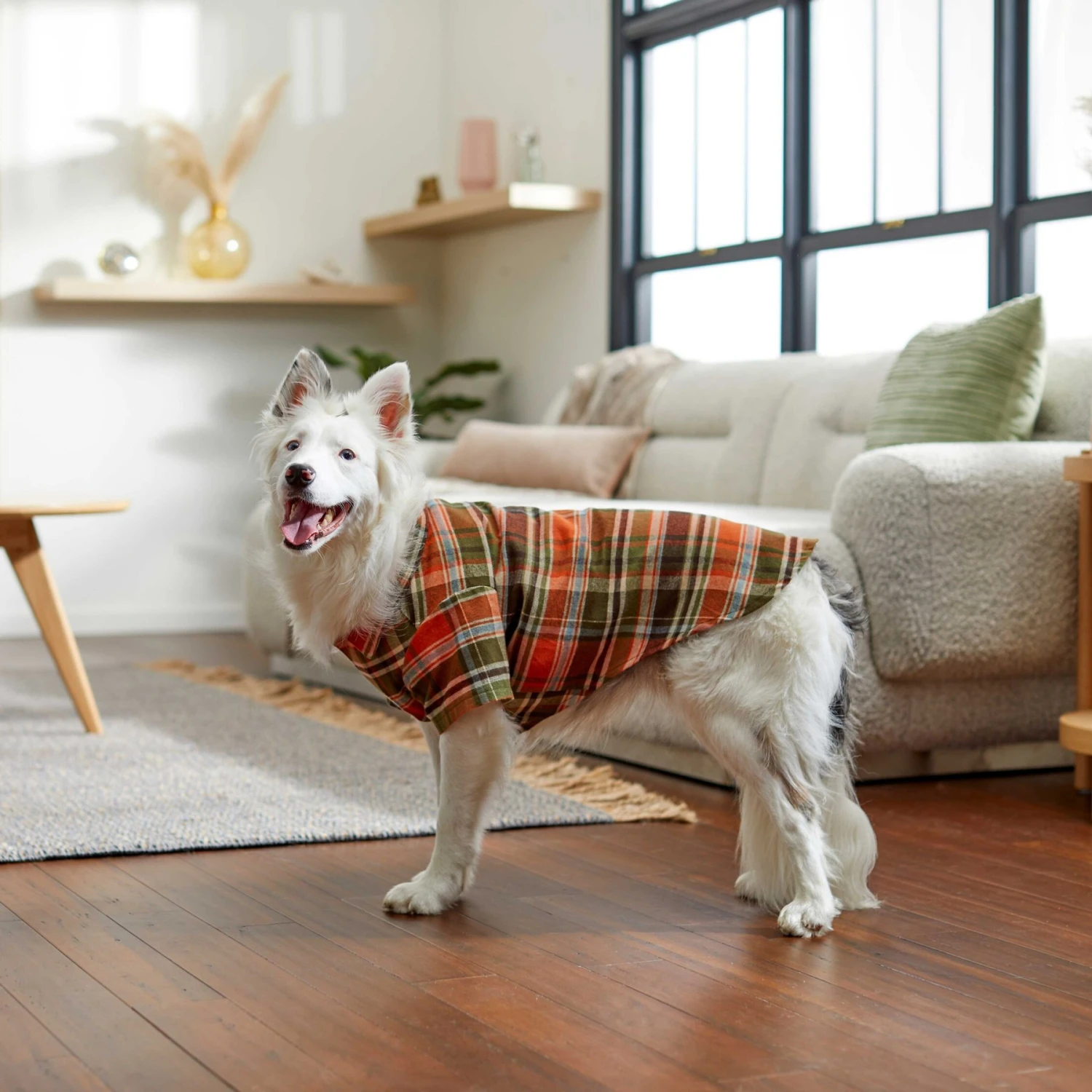Frisco Orange & Olive Plaid Dog & Cat Flannel Shirt 8 Frisco Orange & Olive Plaid Dog & Cat Flannel Shirt - Image 8