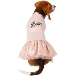 Frisco Better Together Dog & Cat Dress -Frisco 268652 PT2. AC SS1800 V1637672268