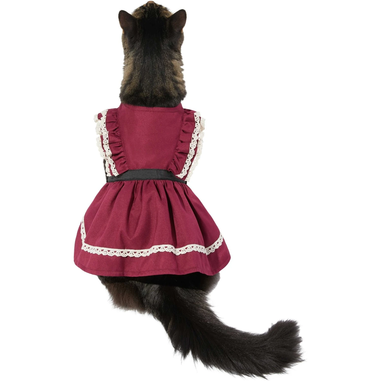 Frisco Plum Dog & Cat Dress 4 Frisco Plum Dog & Cat Dress - Image 4