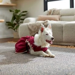 Frisco Plum Dog & Cat Dress 12 Frisco Plum Dog & Cat Dress -Frisco 268677 PT5. AC SS1800 V1637675815