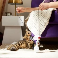 Frisco Sugar Skull Bride & Groom Bouncy Cat Toy With Catnip, 2 Count 5 Frisco Sugar Skull Bride & Groom Bouncy Cat Toy With Catnip, 2 Count -Frisco 270343 PT3. AC SS1800 V1624817778