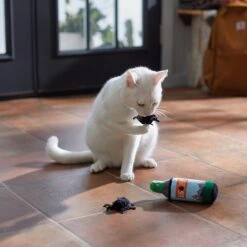 Frisco Camping Bug Spray Plush Cat Toy With Catnip, 3 Count 5 Frisco Camping Bug Spray Plush Cat Toy With Catnip, 3 Count -Frisco 270969 PT3. AC SS1800 V1625009346