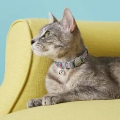 Frisco Rose Polyester Personalized Breakaway Cat Collar With Bell 10 Frisco Rose Polyester Personalized Breakaway Cat Collar With Bell -Frisco 271600 PT4. AC SS1800 V1618936952