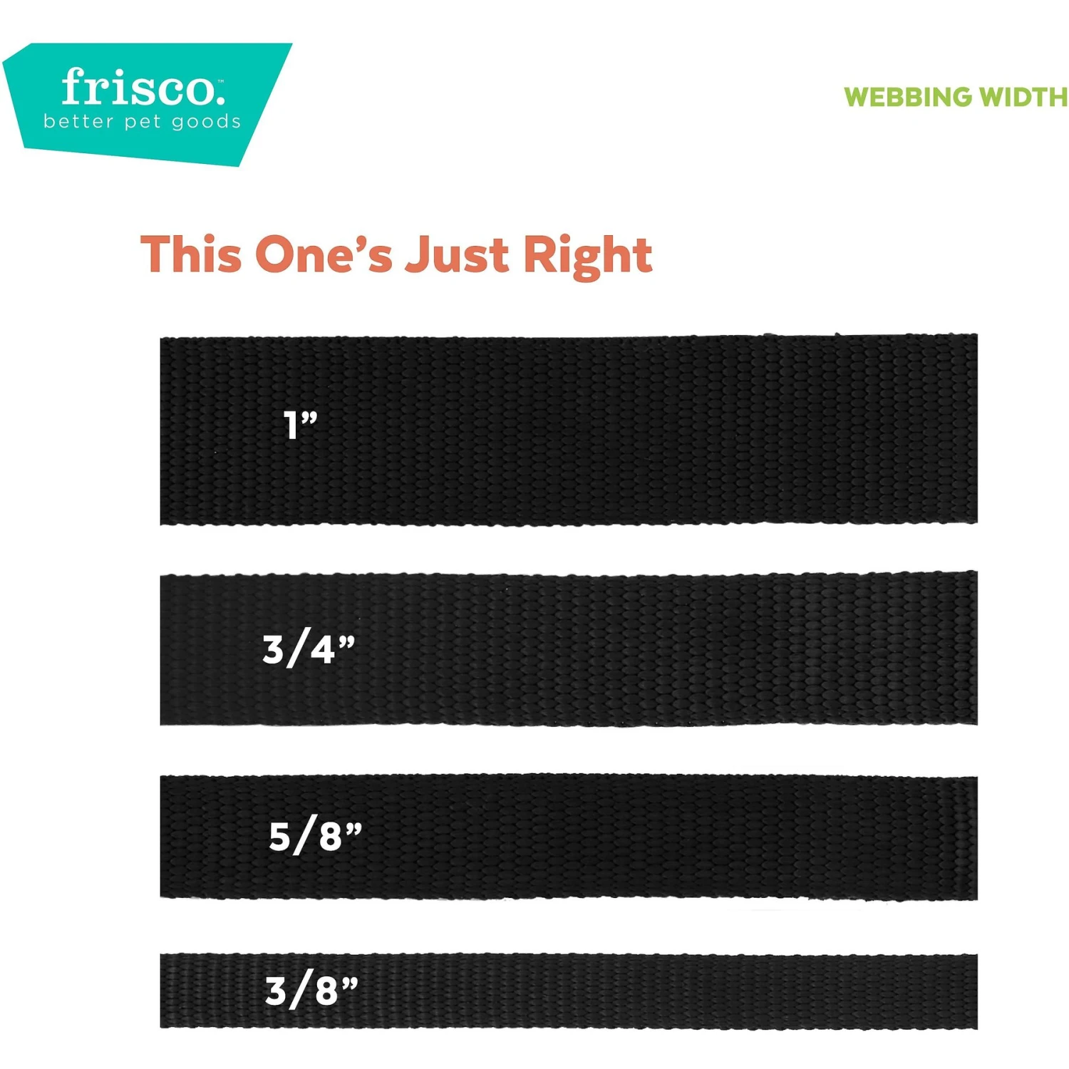 Frisco Rose Polyester Personalized Breakaway Cat Collar With Bell 6 Frisco Rose Polyester Personalized Breakaway Cat Collar With Bell - Image 6