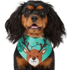 Frisco Peekaboo Reindeer Dog & Cat Bandana 11 Frisco Peekaboo Reindeer Dog & Cat Bandana -Frisco 276198 PT3. AC SS1800 V1637687013