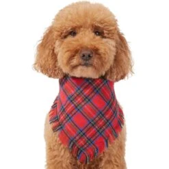 Frisco Red/Green Plaid Dog & Cat Flannel Bandana 11 Frisco Red/Green Plaid Dog & Cat Flannel Bandana -Frisco 276201 PT3. AC SS1800 V1637654789