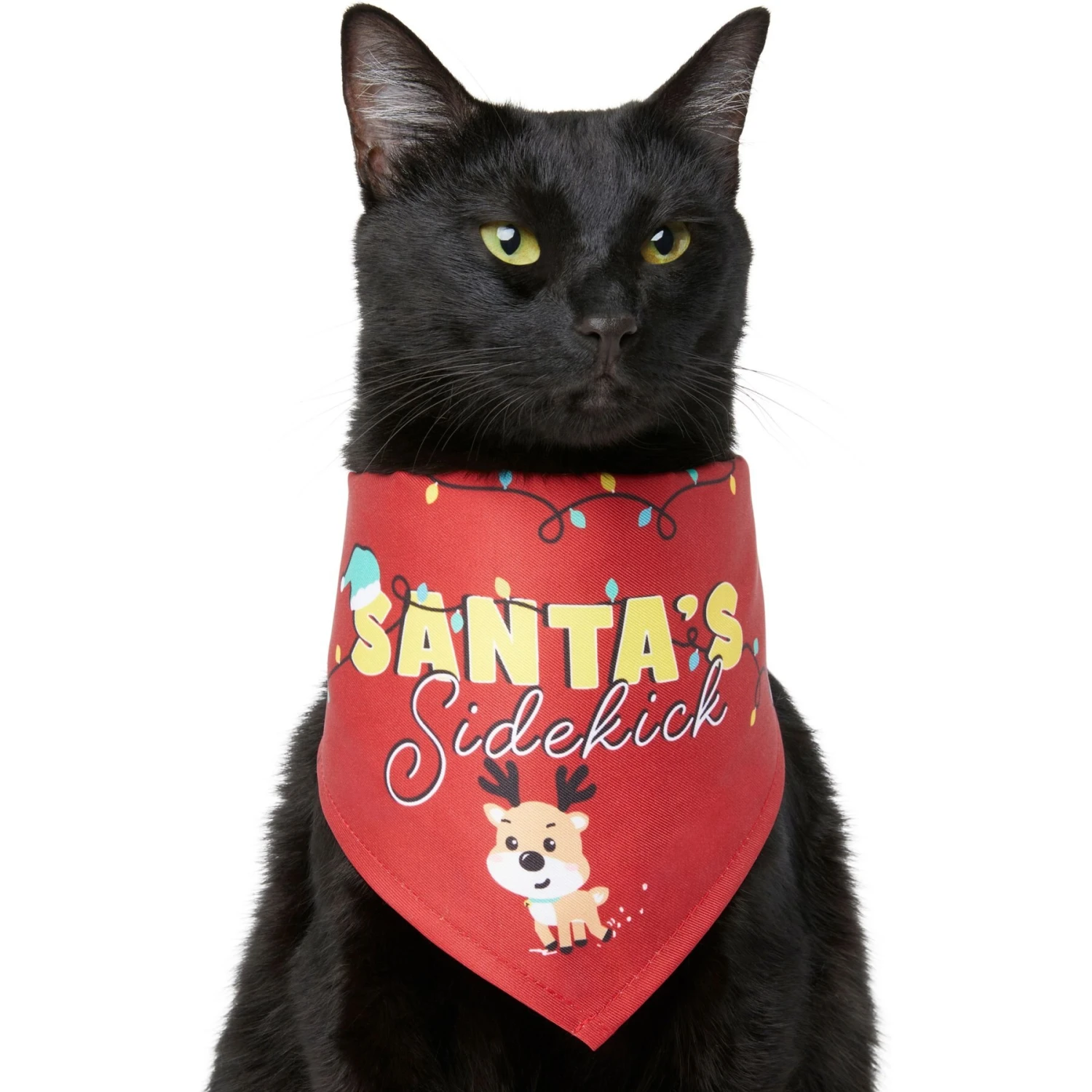 Frisco Santa's Sidekick Dog & Cat Bandana 1 Frisco Santa's Sidekick Dog & Cat Bandana
