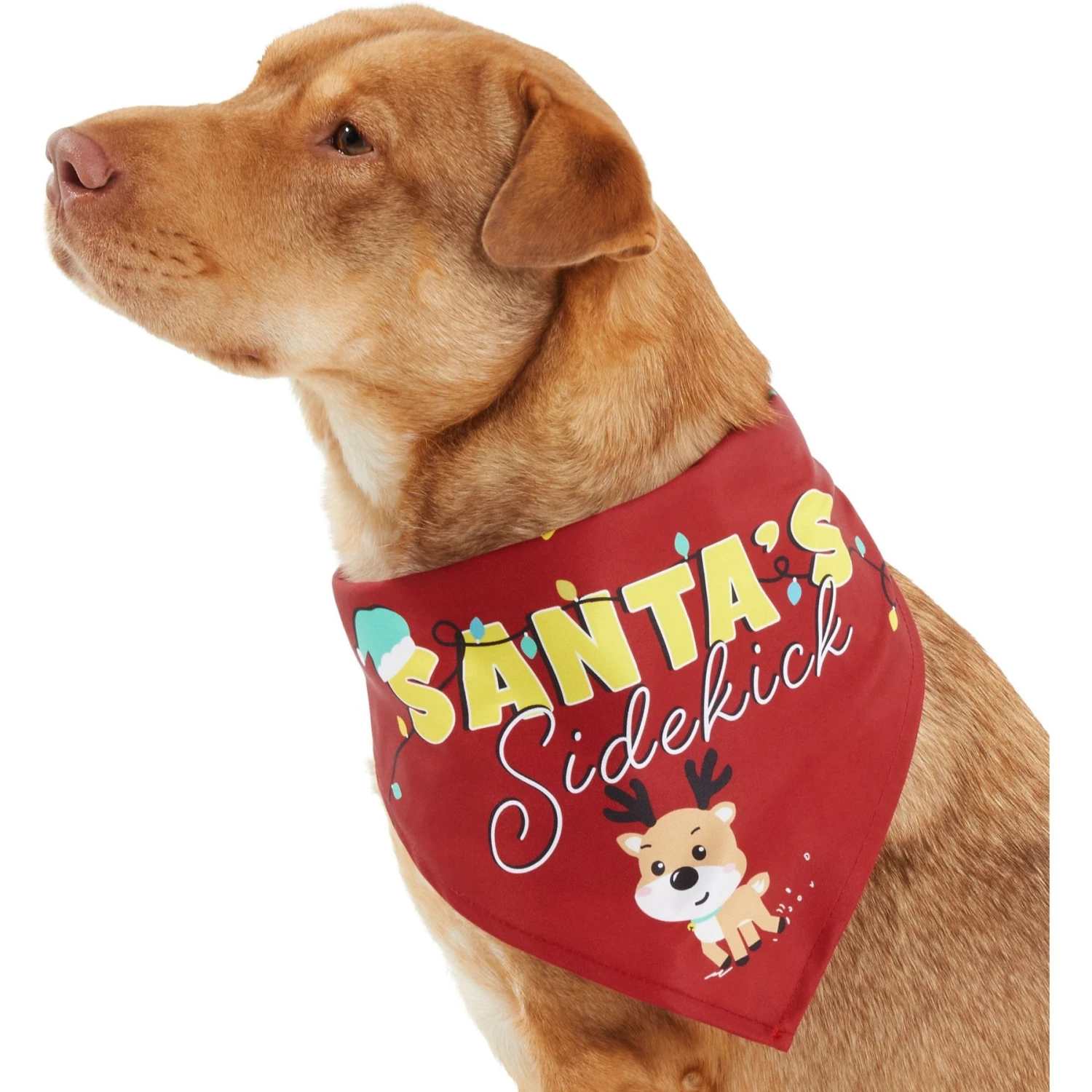Frisco Santa's Sidekick Dog & Cat Bandana 3 Frisco Santa's Sidekick Dog & Cat Bandana - Image 3