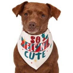 Frisco So Elf'n Cute Dog & Cat Bandana -Frisco 276276 PT2. AC SS1800 V1637682999