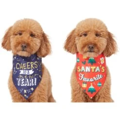 Frisco Santa's Favorite & Cheers To The New Year Dog & Cat Reversible Bandana 11 Frisco Santa's Favorite & Cheers To The New Year Dog & Cat Reversible Bandana -Frisco 276285 PT2. AC SS1800 V1637719891