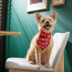 Frisco Santa's Favorite & Cheers To The New Year Dog & Cat Reversible Bandana 15 Frisco Santa's Favorite & Cheers To The New Year Dog & Cat Reversible Bandana -Frisco 276285 PT6. AC SS1800 V1637668015