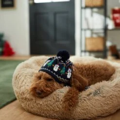 Frisco Jolly Snowman Dog & Cat Knitted Hat 9 Frisco Jolly Snowman Dog & Cat Knitted Hat -Frisco 276303 PT8. AC SS1800 V1631300384