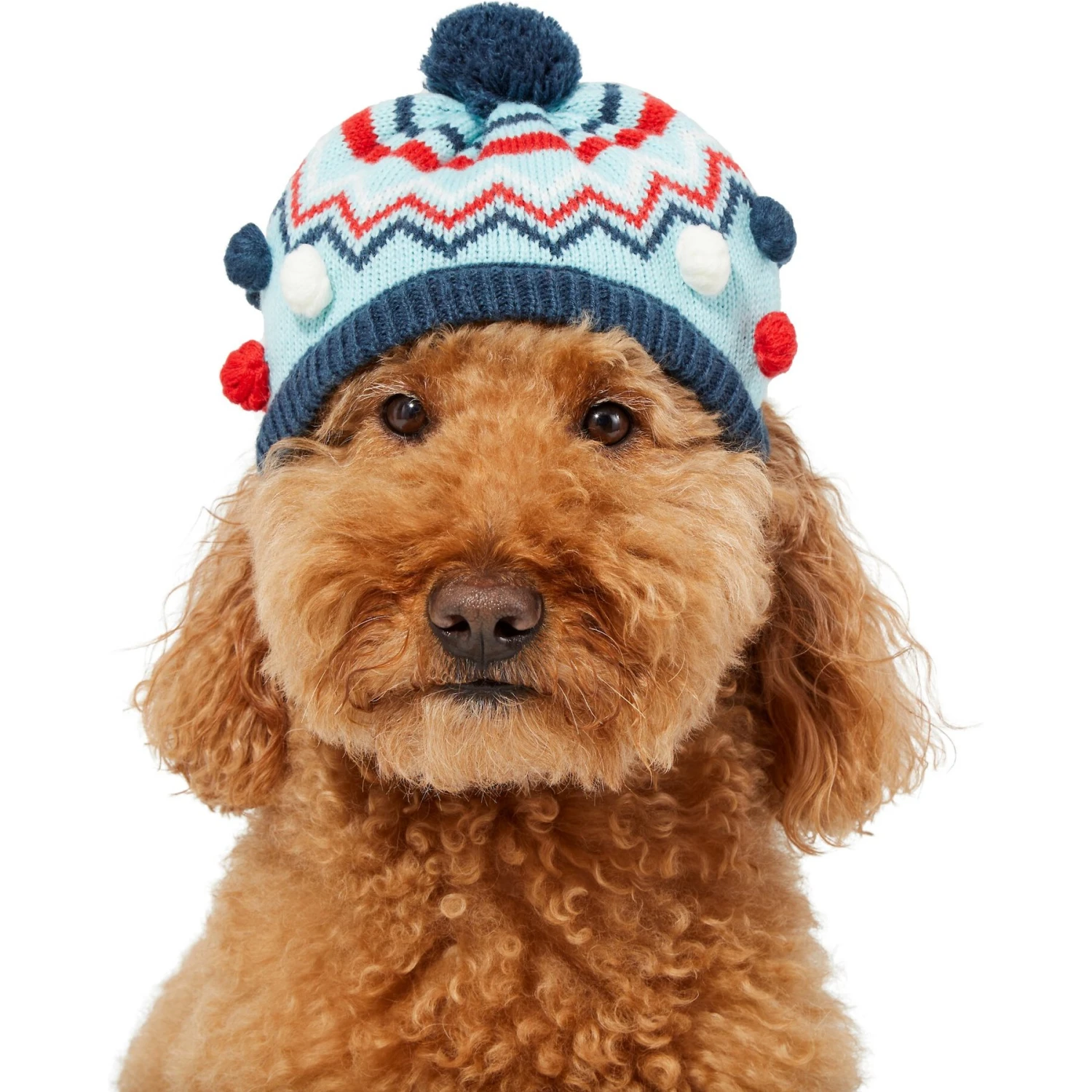 Frisco Pom Pom Dog & Cat Knitted Hat 3 Frisco Pom Pom Dog & Cat Knitted Hat - Image 3