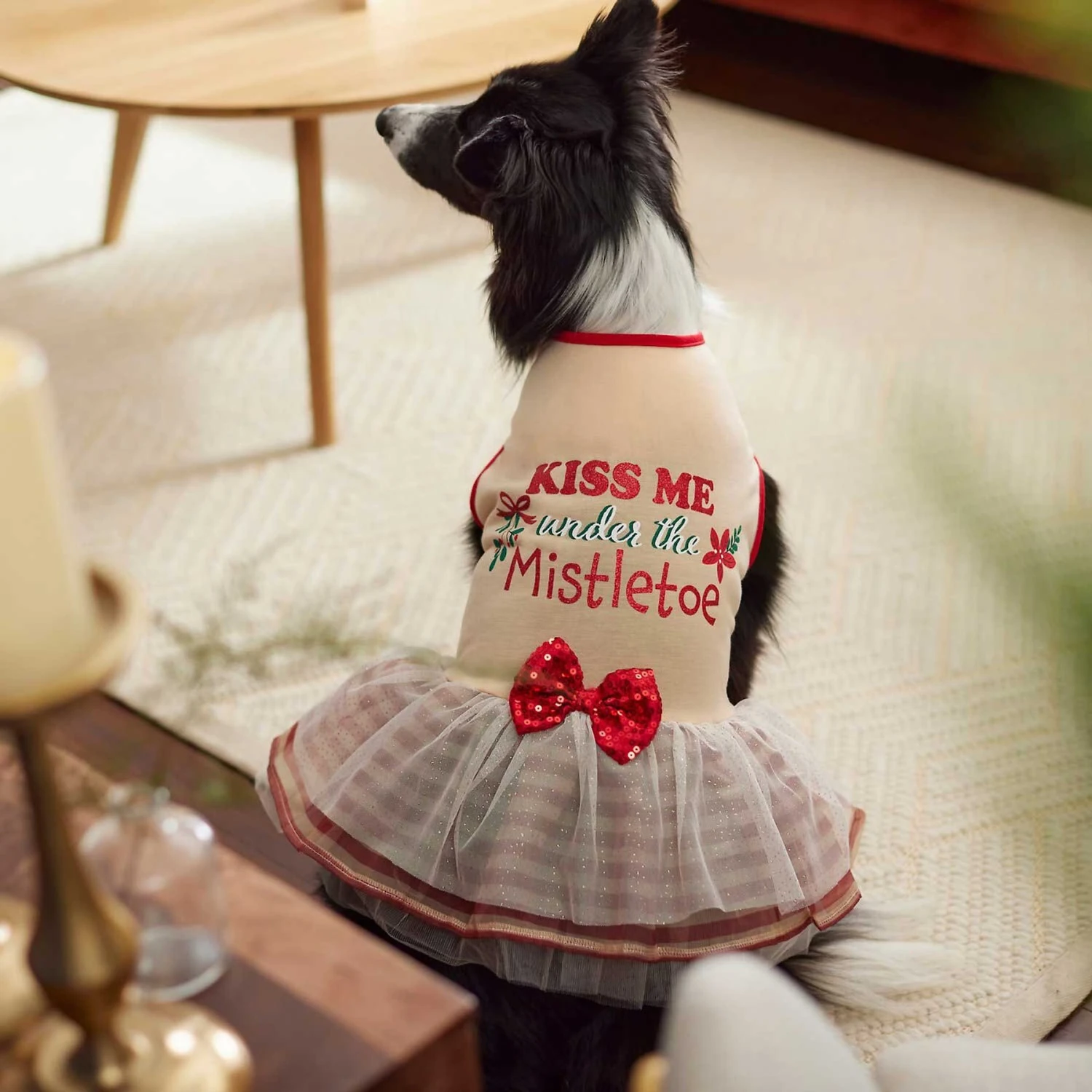 Frisco Kiss Me Under The Mistletoe Dog & Cat Dress 6 Frisco Kiss Me Under The Mistletoe Dog & Cat Dress - Image 6