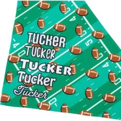 Frisco Football Personalized Dog & Cat Bandana 13 Frisco Football Personalized Dog & Cat Bandana -Frisco 287044 PT4. AC SS1800 V1623246178