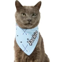 Frisco Ice Hockey Personalized Dog & Cat Bandana 16 Frisco Ice Hockey Personalized Dog & Cat Bandana -Frisco 287048 PT7. AC SS1800 V1623246478