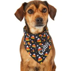 Frisco Candy Corn Personalized Dog & Cat Bandana 15 Frisco Candy Corn Personalized Dog & Cat Bandana -Frisco 287056 PT6. AC SS1800 V1623246504