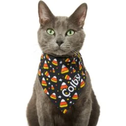 Frisco Candy Corn Personalized Dog & Cat Bandana 16 Frisco Candy Corn Personalized Dog & Cat Bandana -Frisco 287056 PT7. AC SS1800 V1623246828