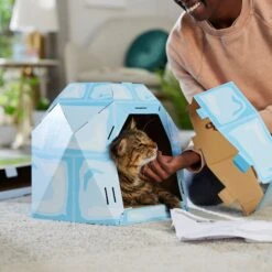 Frisco Igloo Cardboard Cat House 9 Frisco Igloo Cardboard Cat House -Frisco 287293 PT3. AC SS1800 V1692035199