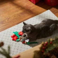 Frisco Flower Bouquet Plush Cat Toy With Catnip 6 Frisco Flower Bouquet Plush Cat Toy With Catnip -Frisco 287395 PT3. AC SS1800 V1632774747