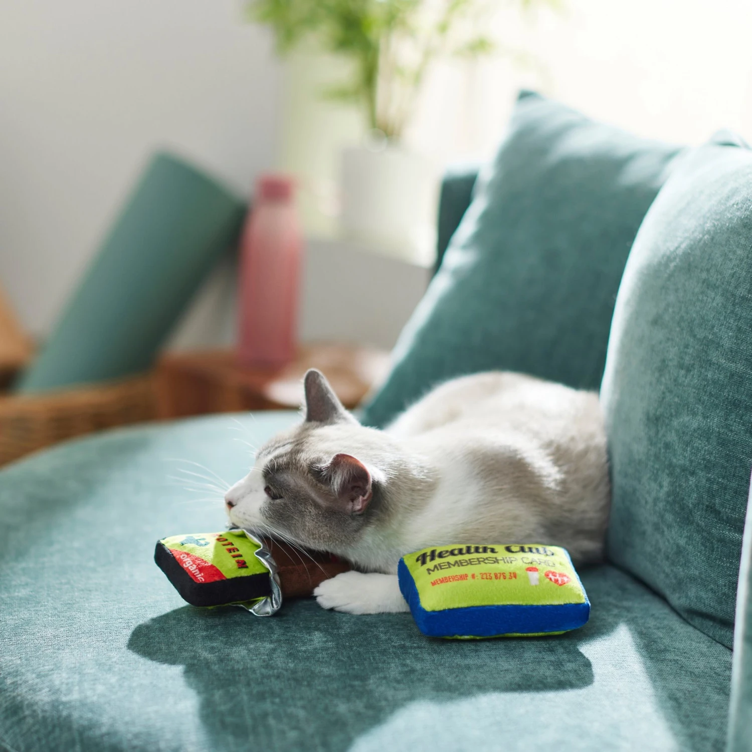 Frisco Protein Bar & Gym Membership Plush Cat Toy With Catnip 4 Frisco Protein Bar & Gym Membership Plush Cat Toy With Catnip - Image 4