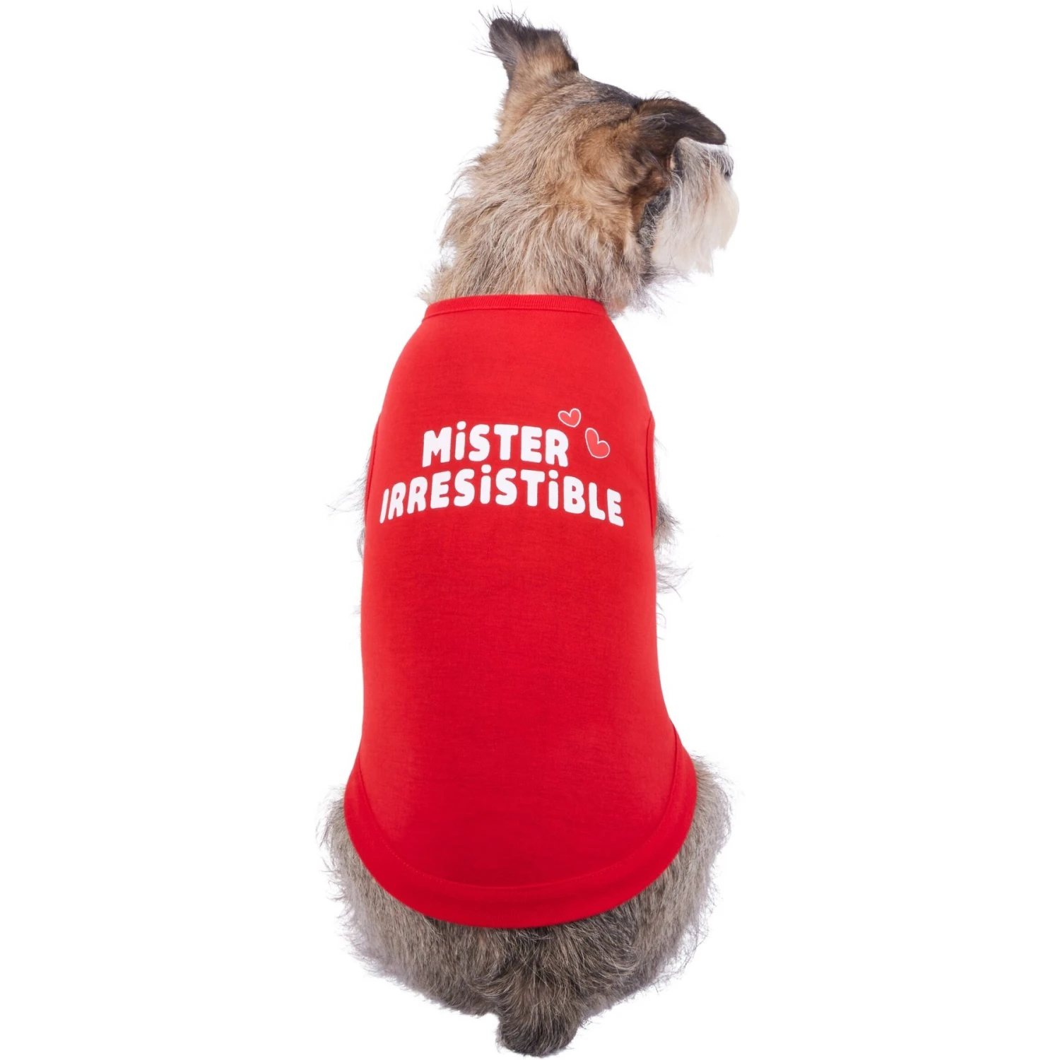 Frisco Mister Irresistible Dog & Cat T-Shirt 1 Frisco Mister Irresistible Dog & Cat T-Shirt