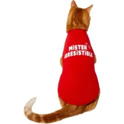 Frisco Mister Irresistible Dog & Cat T-Shirt 9 Frisco Mister Irresistible Dog & Cat T-Shirt -Frisco 292026 PT2. AC SS1800 V1637268745