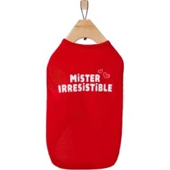 Frisco Mister Irresistible Dog & Cat T-Shirt 10 Frisco Mister Irresistible Dog & Cat T-Shirt -Frisco 292026 PT4. AC SS1800 V1637267791