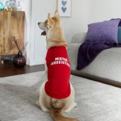 Frisco Mister Irresistible Dog & Cat T-Shirt 12 Frisco Mister Irresistible Dog & Cat T-Shirt -Frisco 292026 PT6. AC SS1800 V1701797008