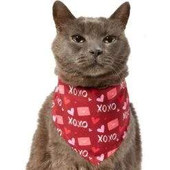 Frisco Love Letters Dog & Cat Bandana 9 Frisco Love Letters Dog & Cat Bandana -Frisco 292051 PT2. AC SS1800 V1637269050