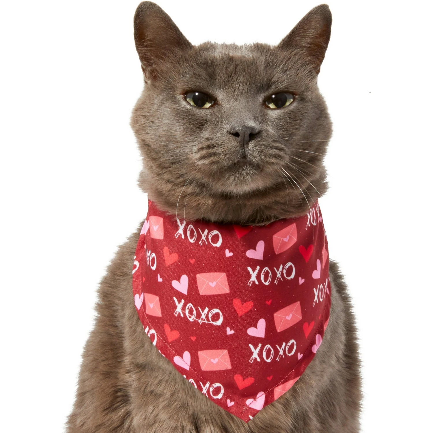 Frisco Love Letters Dog & Cat Bandana 3 Frisco Love Letters Dog & Cat Bandana - Image 3