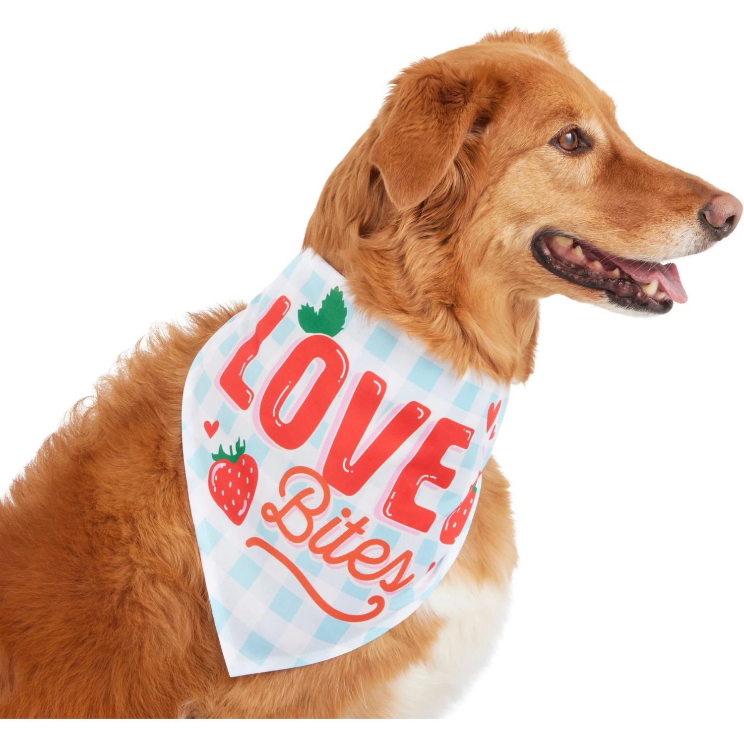 Frisco Love Bites Dog & Cat Bandana 1 Frisco Love Bites Dog & Cat Bandana
