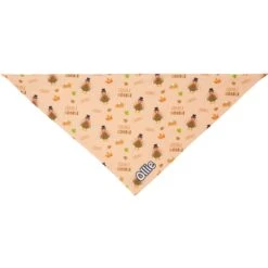 Frisco Quirky Thanksgiving Personalized Dog & Cat Bandana 12 Frisco Quirky Thanksgiving Personalized Dog & Cat Bandana -Frisco 296986 PT3. AC SS1800 V1627654956