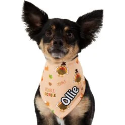 Frisco Quirky Thanksgiving Personalized Dog & Cat Bandana 15 Frisco Quirky Thanksgiving Personalized Dog & Cat Bandana -Frisco 296986 PT6. AC SS1800 V1627654020