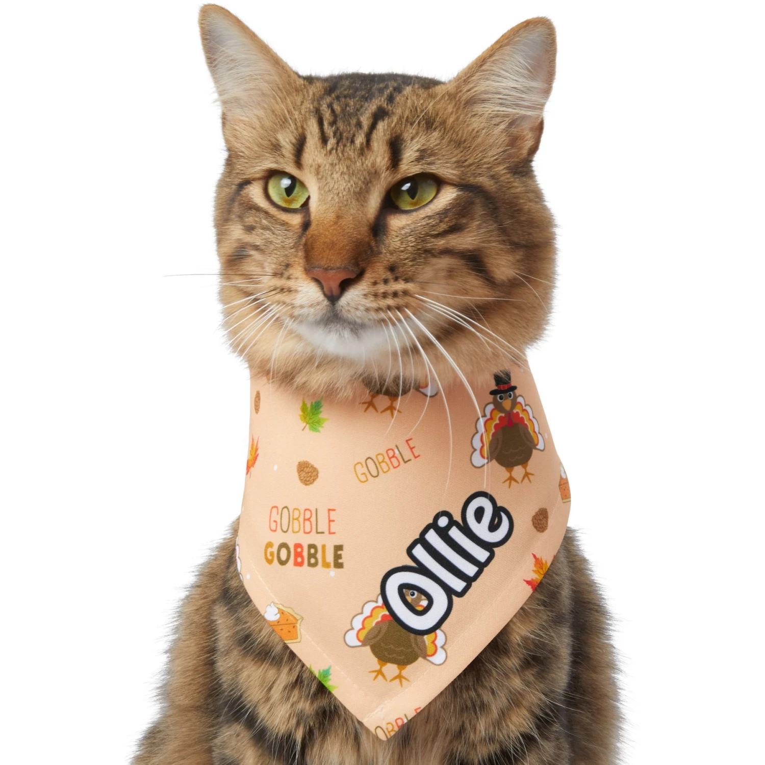 Frisco Quirky Thanksgiving Personalized Dog & Cat Bandana 8 Frisco Quirky Thanksgiving Personalized Dog & Cat Bandana - Image 8