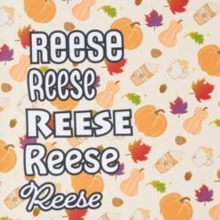 Frisco Pumpkin Spice Personalized Dog & Cat Bandana 13 Frisco Pumpkin Spice Personalized Dog & Cat Bandana -Frisco 296998 PT4. AC SS1800 V1627655195