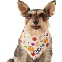 Frisco Pumpkin Spice Personalized Dog & Cat Bandana 15 Frisco Pumpkin Spice Personalized Dog & Cat Bandana -Frisco 296998 PT6. AC SS1800 V1627654408