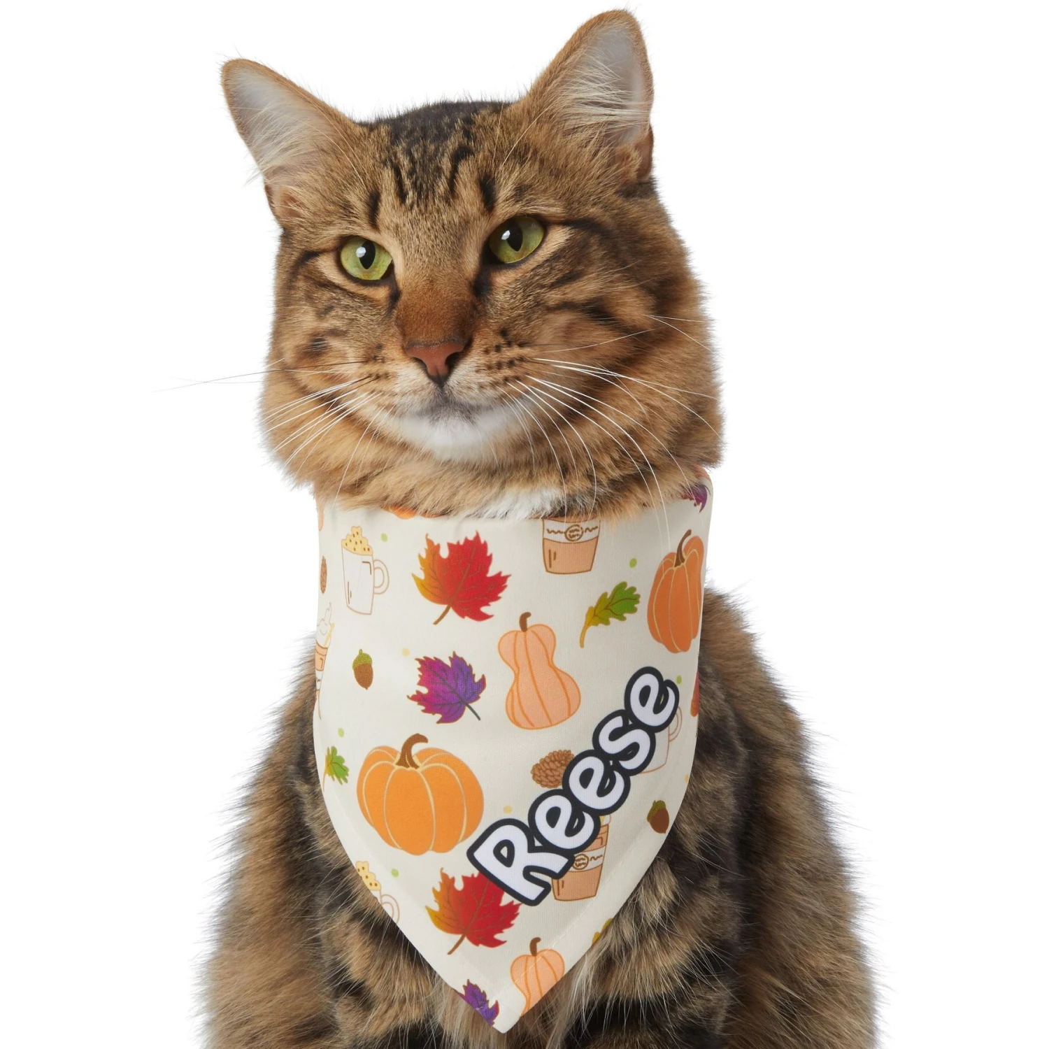 Frisco Pumpkin Spice Personalized Dog & Cat Bandana 8 Frisco Pumpkin Spice Personalized Dog & Cat Bandana - Image 8
