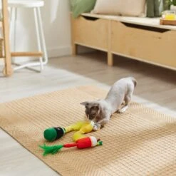 Frisco Brunch Bottomless Mimosas Plush Cat Toy With Catnip, 3 Count 5 Frisco Brunch Bottomless Mimosas Plush Cat Toy With Catnip, 3 Count -Frisco 297288 PT2. AC SS1800 V1642088553