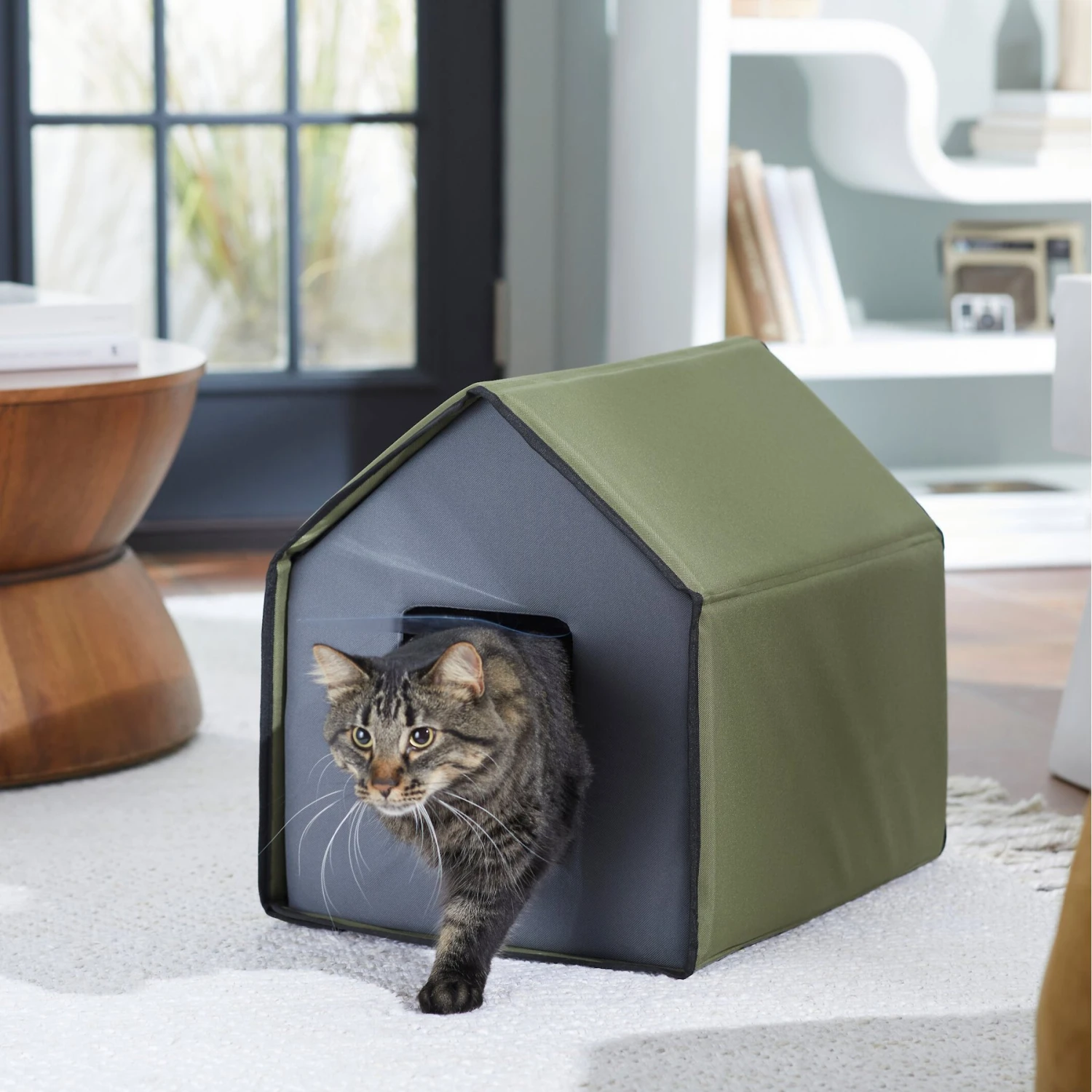 Frisco Indoor Unheated Cat House 1 Frisco Indoor Unheated Cat House