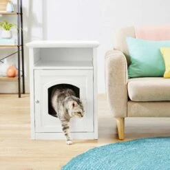 Frisco Decorative Side Table Cat Litter Box Cover & Frisco Open Top Cat Litter Box With Rim, Large 11 Frisco Decorative Side Table Cat Litter Box Cover & Frisco Open Top Cat Litter Box With Rim, Large -Frisco 297992 PT4. AC SS1800 V1621306337
