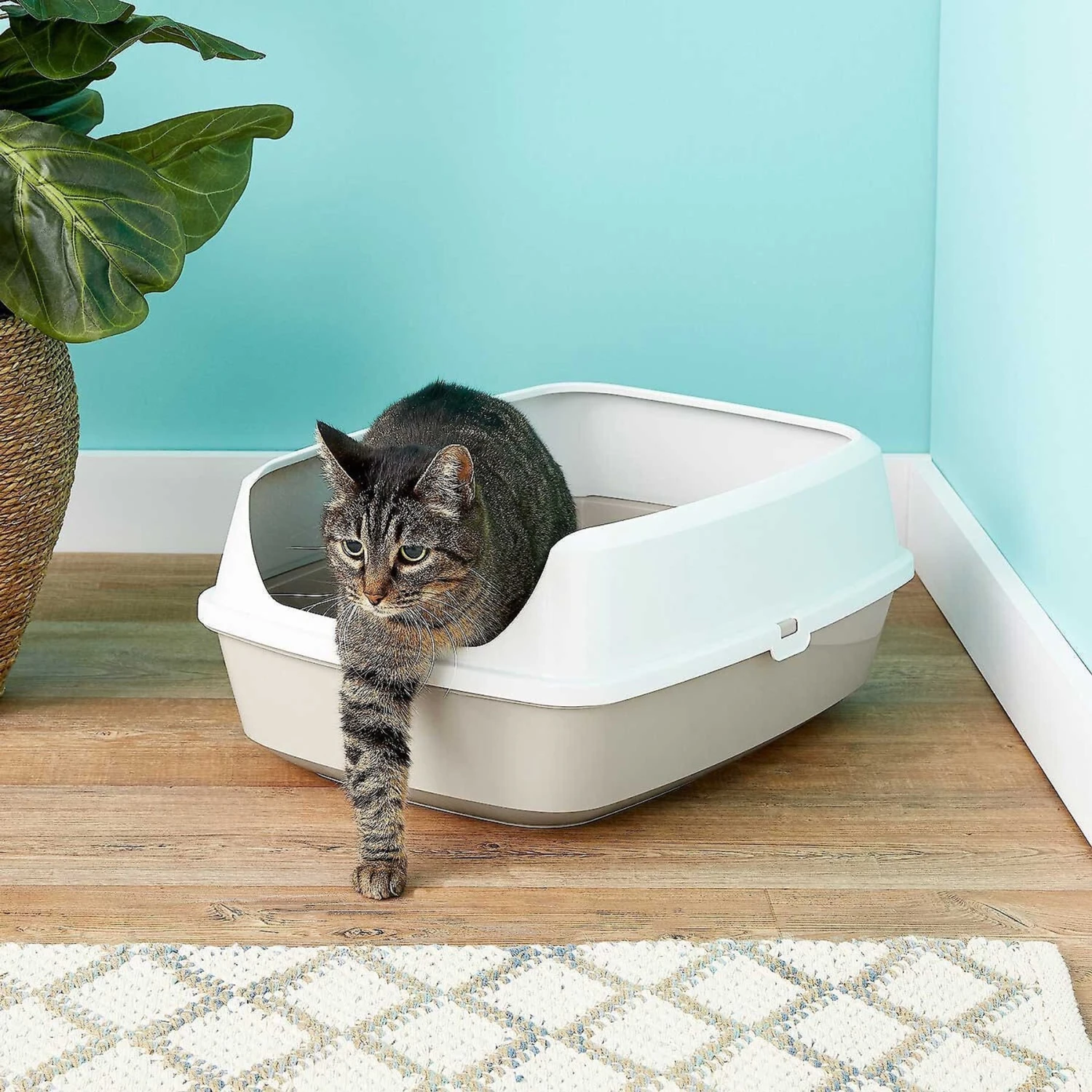 Frisco Decorative Side Table Cat Litter Box Cover & Frisco Open Top Cat Litter Box With Rim, Large 7 Frisco Decorative Side Table Cat Litter Box Cover & Frisco Open Top Cat Litter Box With Rim, Large - Image 7