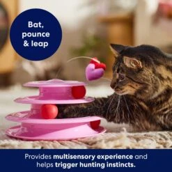 Frisco Unicorn Cat Tracks Cat Toy With Catnip 6 Frisco Unicorn Cat Tracks Cat Toy With Catnip -Frisco 298958 PT3. AC SS1800 V1701797064